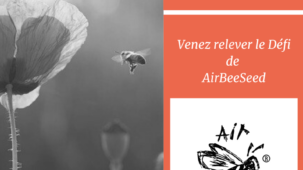 Défi Airbeeseed