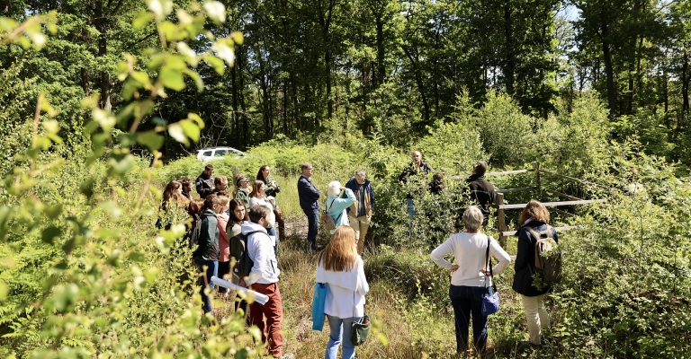 52098824515_57b61918cd_k